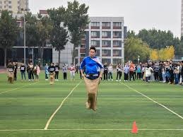 解析堪萨斯皇家队如何利用极致的机动力和团队防守重回巅峰